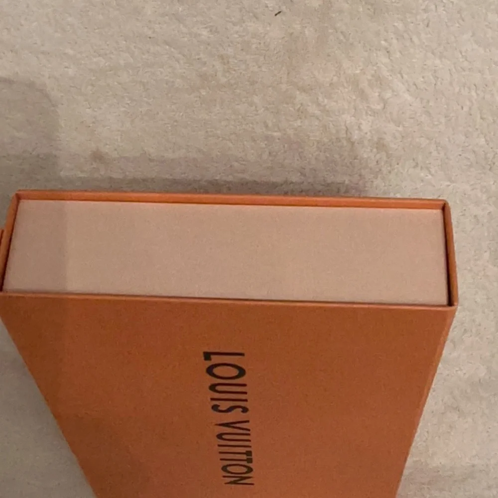 12x8x2,25 Louis Vuitton magnetic closer orange color  new